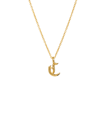Ix   Letter Charm