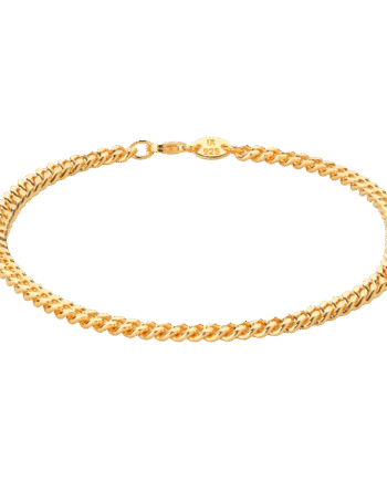 Ix Curb Anklet