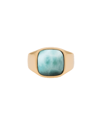 Ix Cushion Signet Ring Larimar
