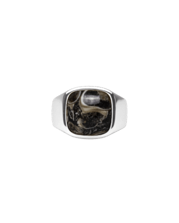 Ix Cushion Signet Ring Turtle Agate Silver