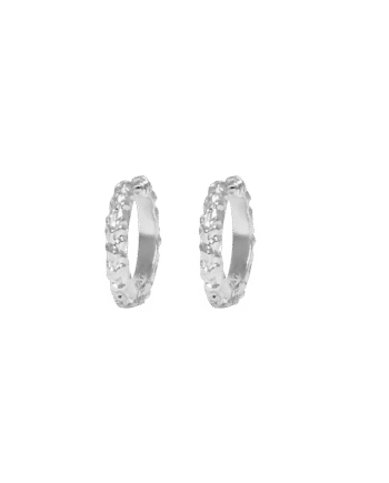 Ix Mini Crunchy Edge Earring Silver