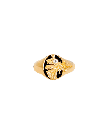 Ix Mini Oval Nature Signet Ring