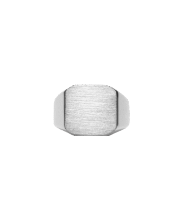 Ix Octagon Signet Ring Silver