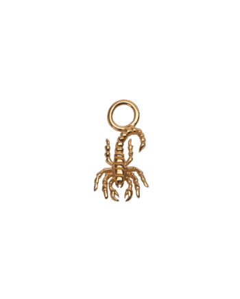Ix Scorpion Charm