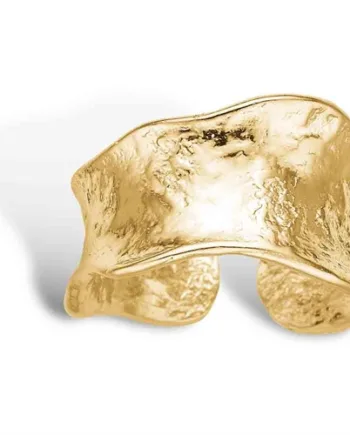 Aiolos Ring Guld