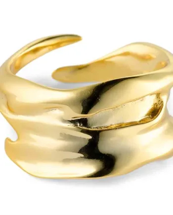 Delia Ring   Sterling 14k Belagt