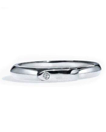 Equestrian Ring
