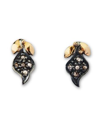 Sommerset ørestikkere