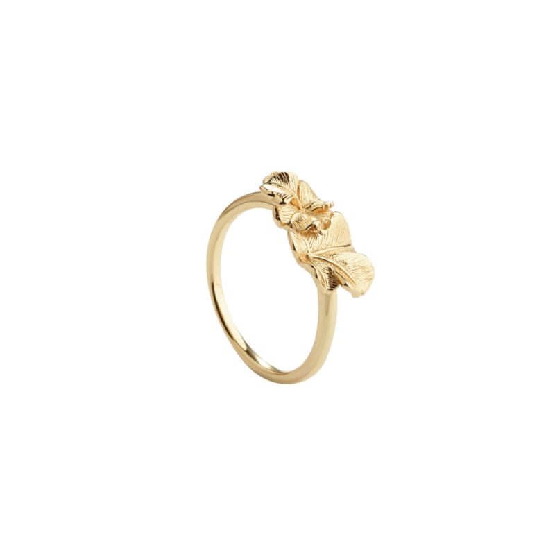 Folio Ring 52   Golden