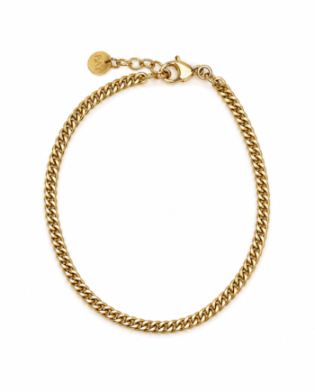 Flowy Panzer Anklet   Bay