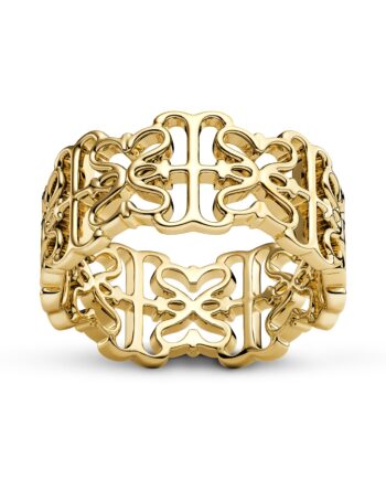 Ring Icona